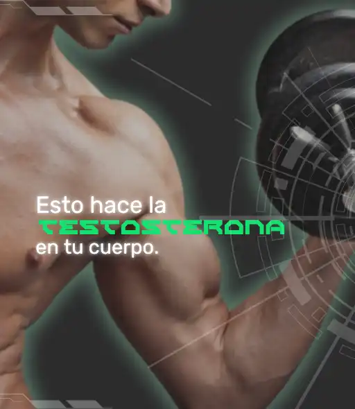 TIPOS DE TESTOSTERONA y que funcion cumple